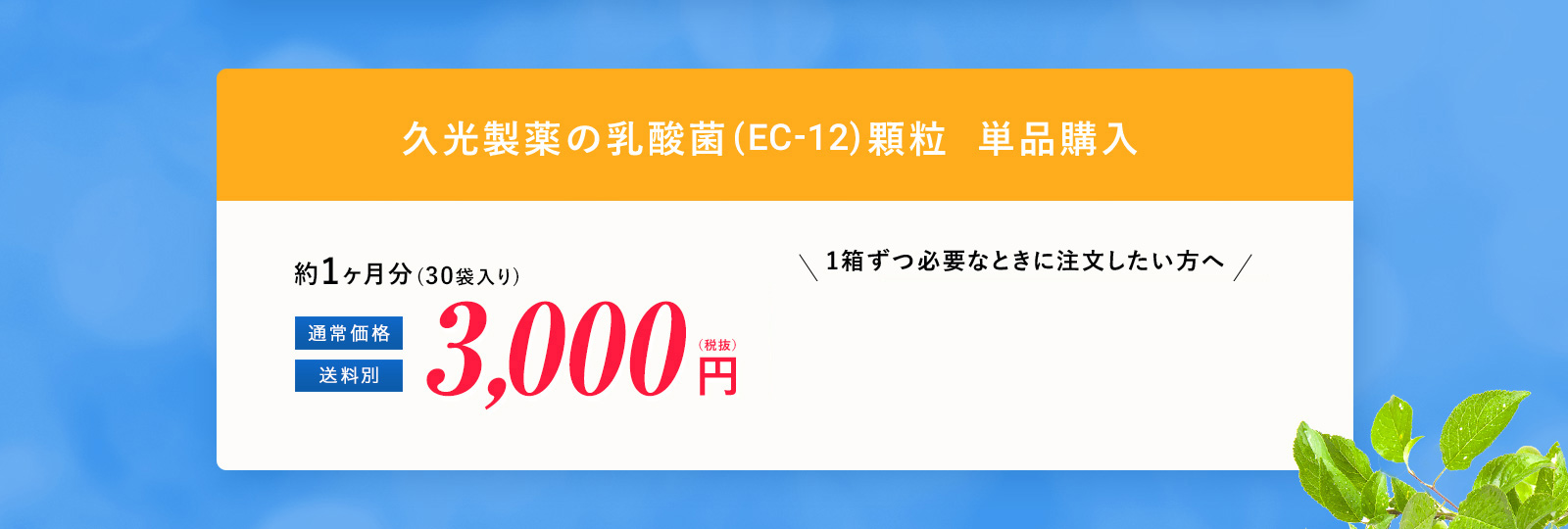 久光製薬の乳酸菌(EC-12)顆粒 単品購入 3,000円
