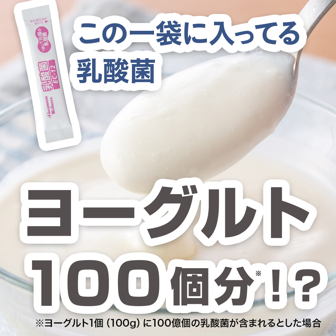 乳酸菌 EC-12 顆粒 1g×30袋 1回のみお届け 約1ヶ月分