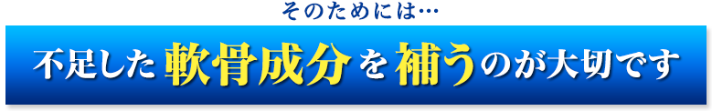 そのためには不足した軟骨成分を補うのが大切です。