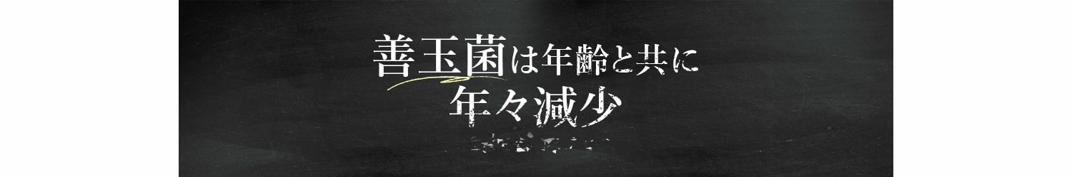 善玉菌は年齢と共に年々減少