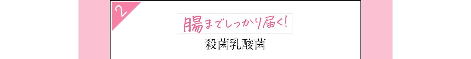 腸までしっかり届く！殺菌乳酸菌