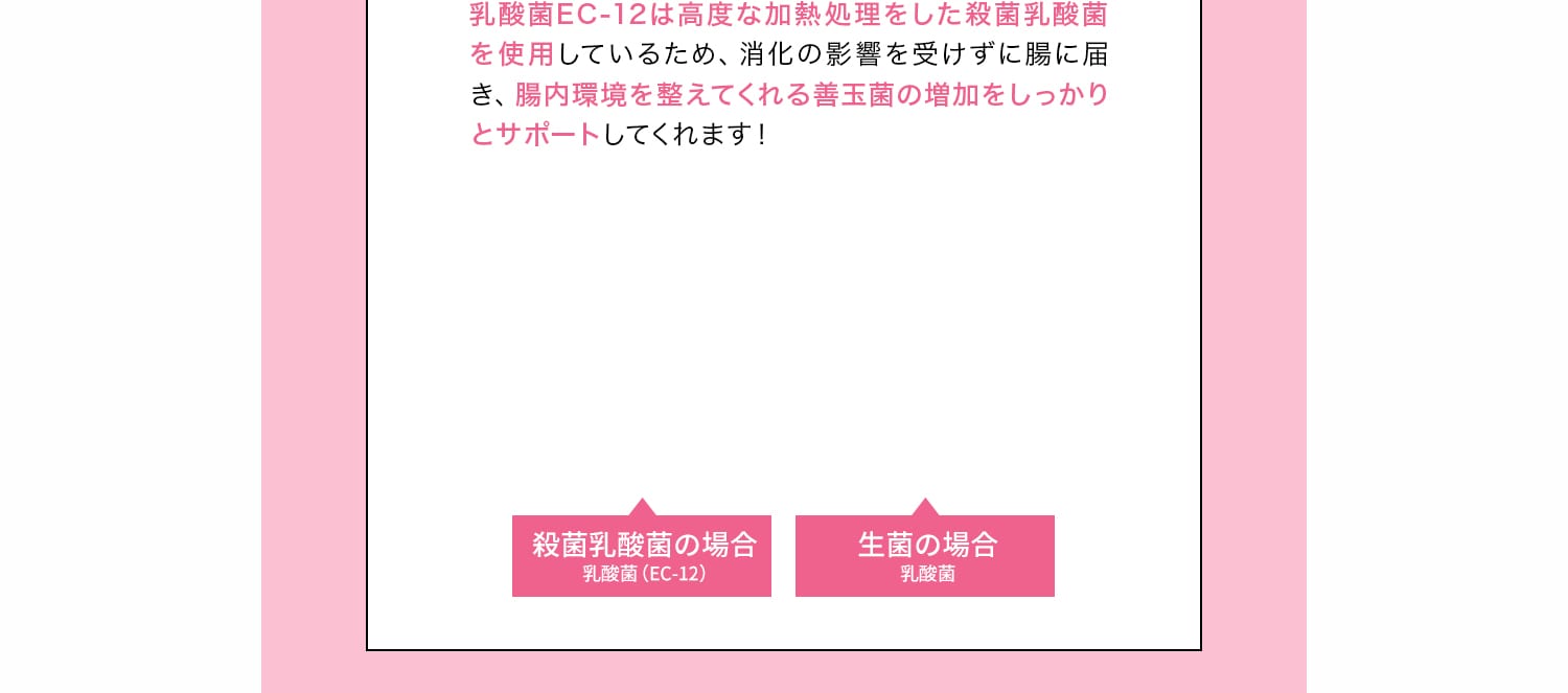 乳酸菌EC-12は高度な加熱処理をした殺菌乳酸菌を使用しているため、消化の影響を受けずに腸に届き、腸内環境を整えてくれる善玉菌の増加をしっかりとサポートしてくれます！