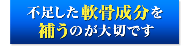 不足した軟骨成分を補うのが大切です