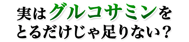 実はグルコサミンをとるだけじゃ足りない？