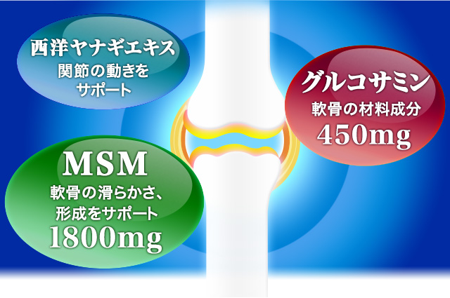 MSM 軟骨の滑らかさ、形成をサポート 1800mg グルコサミン 軟骨の材料成分 450mg 西洋ヤナギエキス 関節の動きをサポート