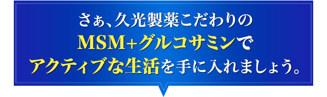 さぁ、久光製薬こだわりのMSM+グルコサミンでアクティブな生活を手に入れましょう。