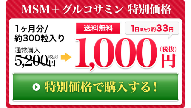 MSN＋グルコサミン　特別価格　送料無料1,000円（税抜）1日あたり約33円　特別価格で購入する