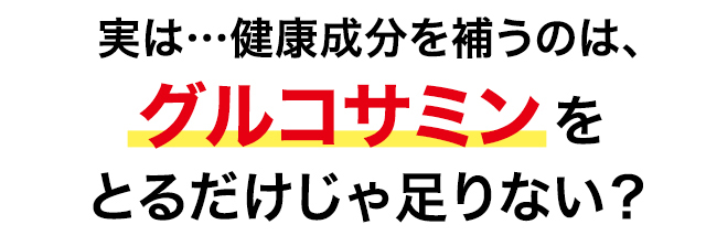 実は…健康成分を補うのは、グルコサミンだけじゃ足りない？