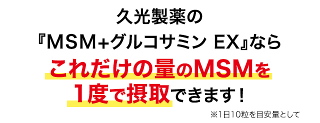 これだけの量のMSMを1度で摂取できます！