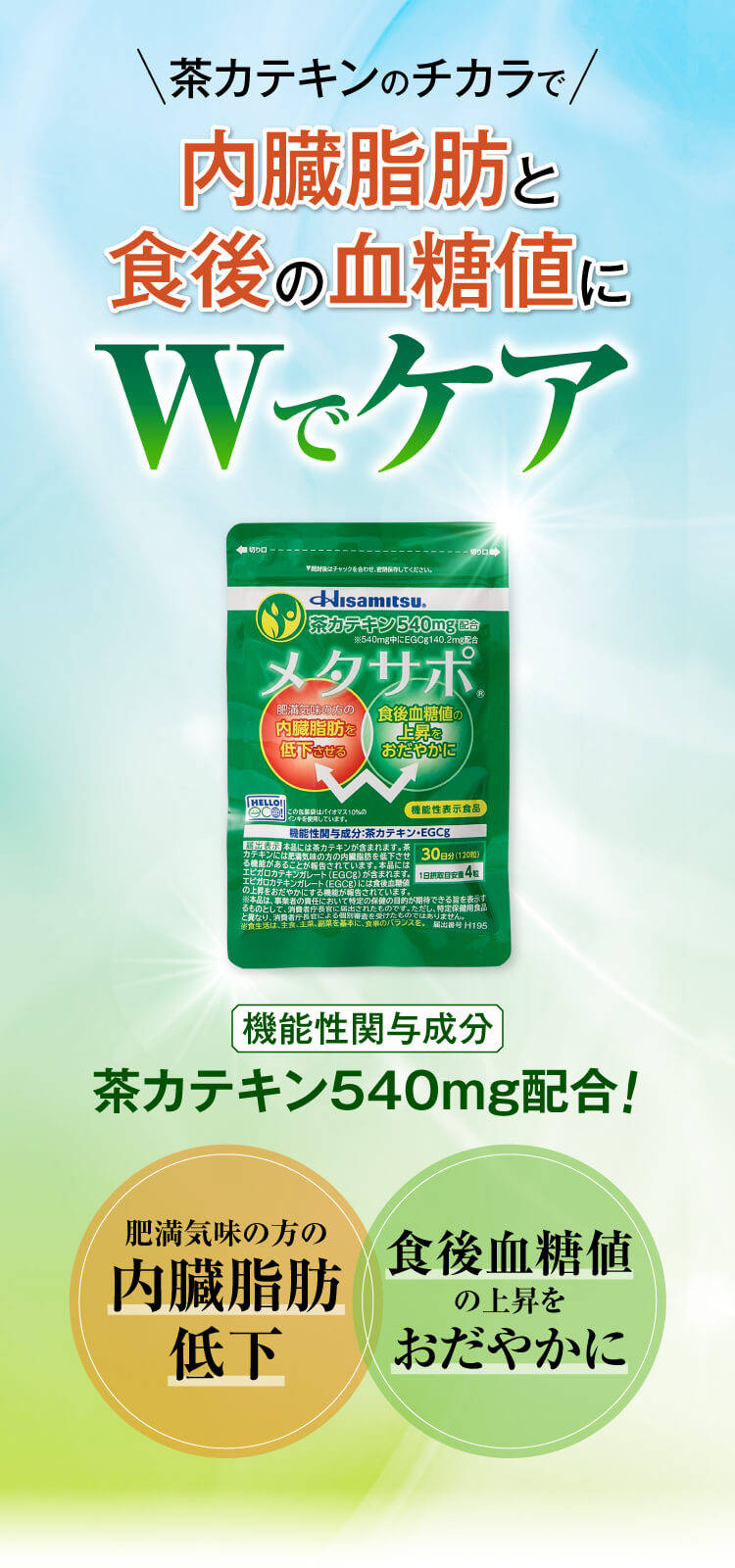 Hisamitsu メタサポ 120粒(120粒（約1ヶ月分) 通常購入): 健康食品-久光製薬の健康食品「乳酸菌」「MSM＋グルコサミン