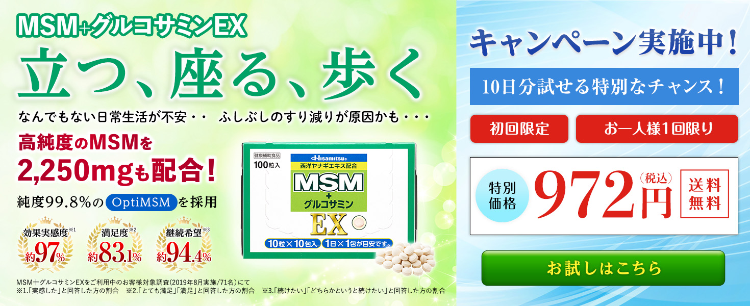 MSM＋グルコサミン EX
